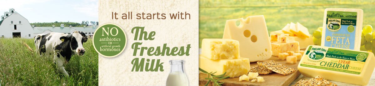 banner-cheese